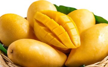 شرط سازمان حفظ نباتات برای واردات این میوه+اطلاعیه