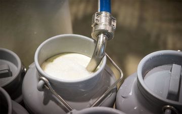 شمارش معکوس برای تعیین نرخ جدید شیر خام/ قیمت پیشنهادی به وزارت جهاد اعلام شد