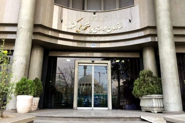 خبر خوش سازمان اداری استخدامی/جذب بیش از ۳هزار کارمند