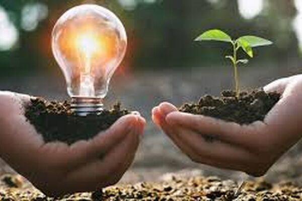 دولت از پرداخت مطالبات تجدیدپذیرها استنکاف کرد/ قیمت واقعی برق ۳ هزار تومان است