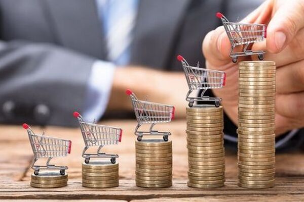 کنترل بازارها از دست دولت خارج شده / گوشت ۶۰۰ هزار تومانی توجیه ندارد