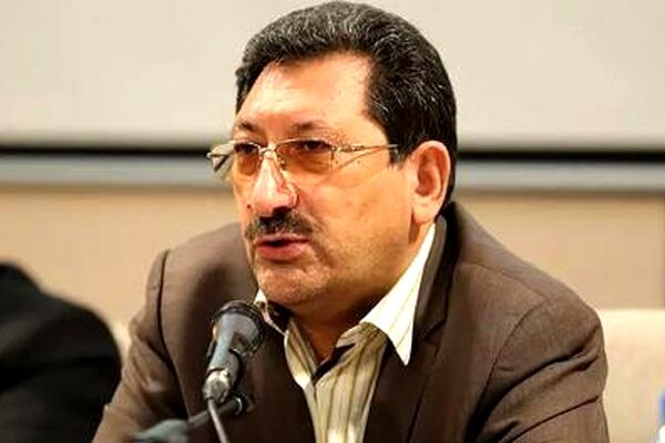 وعده وزیر صمت برای ساماندهی خودروهای داخلی