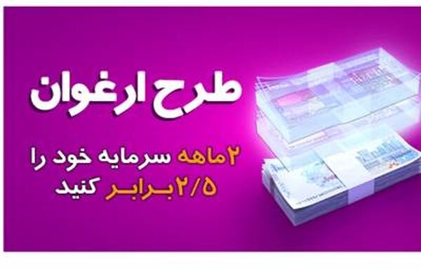 حمایت ارغوانی از کسب و کارهای خرد