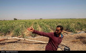 اعتراضات قانونی به هفت‌تپه باز می‌گردد؟ / پشت‌پرده مالکیت هفت‌تپه چه می‌گذرد
