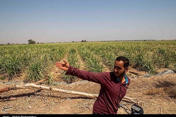 اعتراضات قانونی به هفت‌تپه باز می‌گردد؟ / پشت‌پرده مالکیت هفت‌تپه چه می‌گذرد
