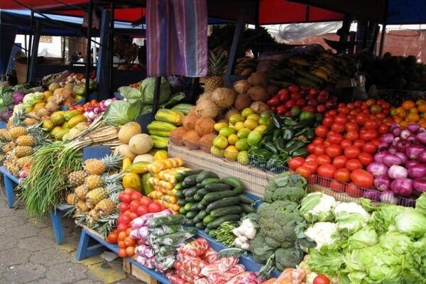 اختلاف ۱۰۰هزارتومانی برخی میوه‌ها از باغ تا بازار