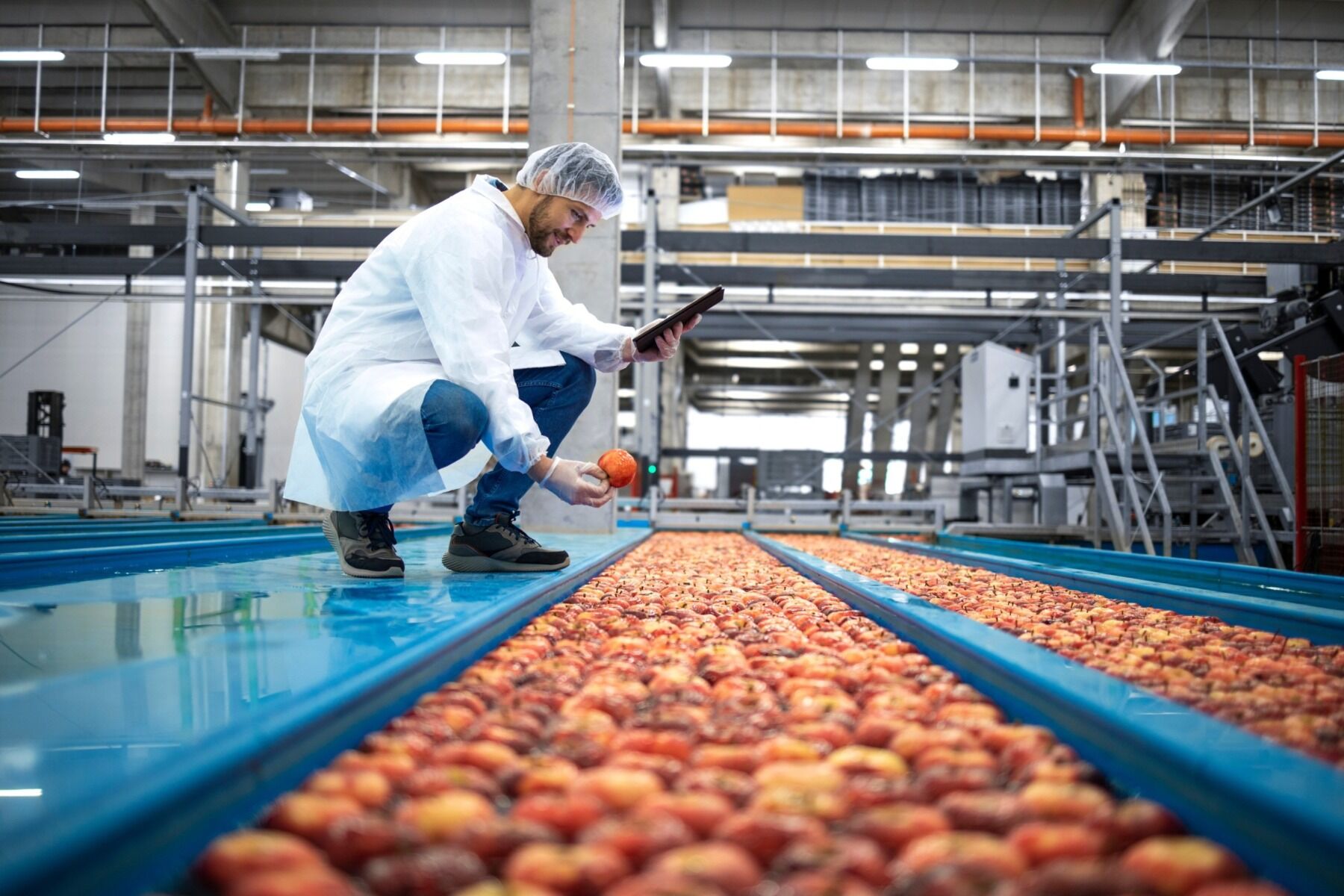 بررسی راهکارهای کاهش ضایعات مواد غذایی