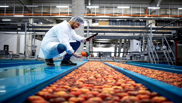 بررسی راهکارهای کاهش ضایعات مواد غذایی