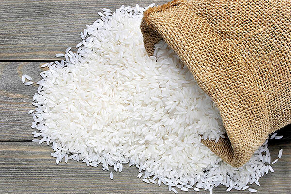 آمار واردات و تولید برنج به زودی واقعی می‌شود 