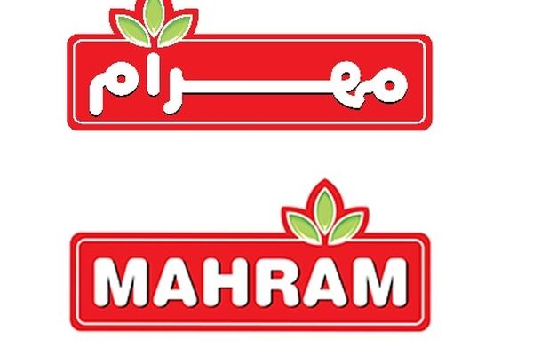 گام بلند مهرام برای کاهش مصرف انرژی