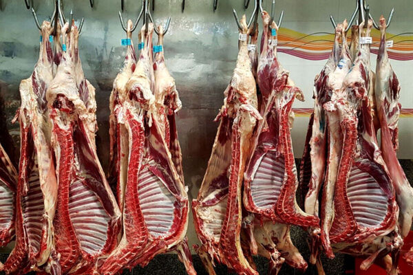 افزایش قیمت گوشت باوجود تکذیب مداوم مسئولان