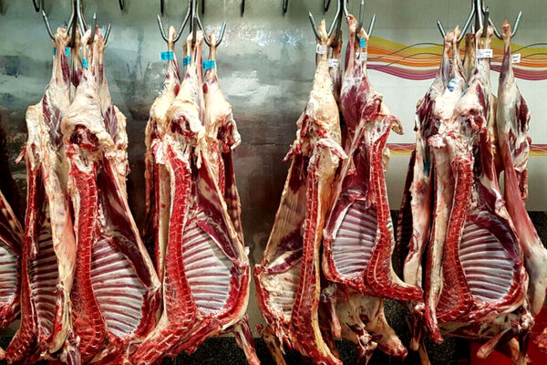 واردات گوشت‌های برزیلی و پاکستانی/اعلام قیمت گوشت تنظیم بازاری 