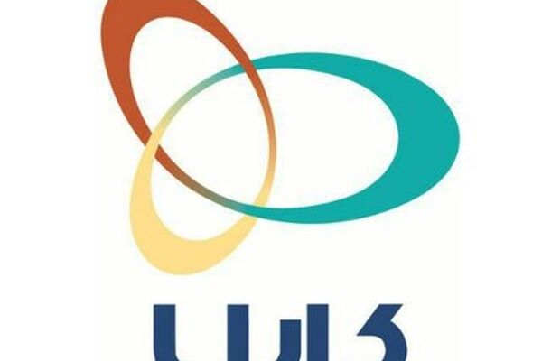 جایگاه سرمایه‌گذاری خطرپذیر در «کارایا» بررسی شد
