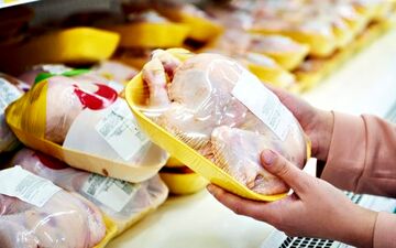 تعدیل قیمت‌ها در بازار مرغ و تخم‌مرغ