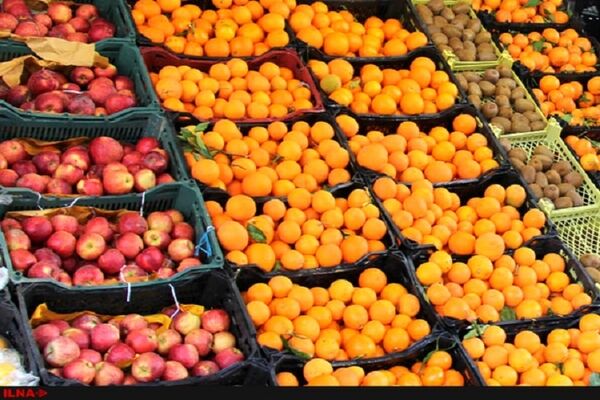 قیمت انواع سبزی و صیفی جات چند؟