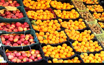 قیمت انواع سبزی و صیفی جات چند؟