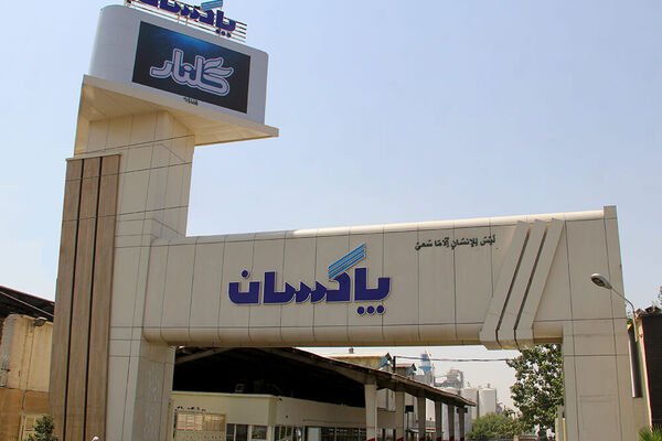رشد درآمد پاکسان