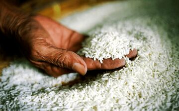شوک جدید به سفره خانوار/ قیمت نحومی برنجی پاکستانی