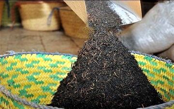 واکنش رسمی قوه قضاییه به فساد مالی بزرگ در واردات چای + فیلم