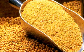 لغو ممنوعیت صادرات سبوس برنج+ابلاغیه 