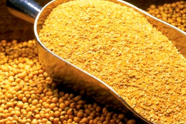 لغو ممنوعیت صادرات سبوس برنج+ابلاغیه 