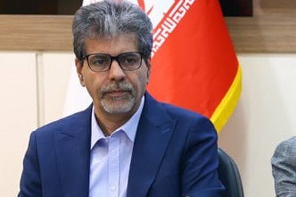روند کوچک‌سازی بخش خصوصی را متوقف کنیم