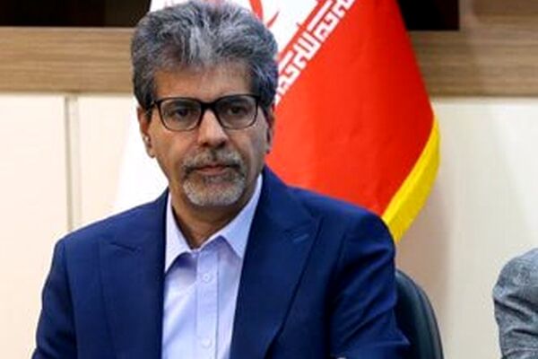 روند کوچک‌سازی بخش خصوصی را متوقف کنیم