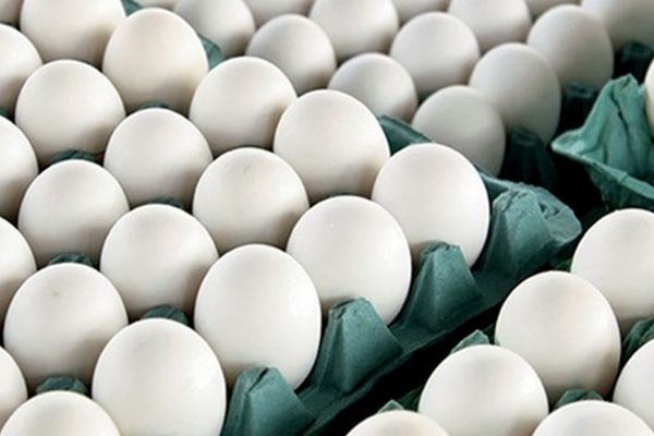 تصمیم دولت برای افزایش ۱۰ هزار تومانی قیمت تخم مرغ