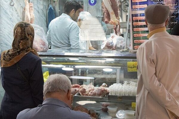 شناسایی مقصر گرانی مرغ