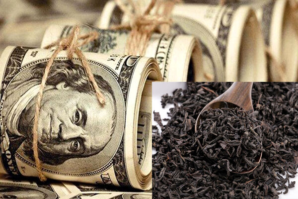 واکنش رییس دستگاه قضا به اختلاس بزرگ در صنعت چای / اژه‌ای: با متخلفان برخورد می‌شود + فیلم 