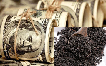 واکنش رییس دستگاه قضا به اختلاس بزرگ در صنعت چای / اژه‌ای: با متخلفان برخورد می‌شود + فیلم 