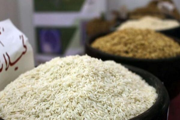 دپوی برنج در شالی‌کوبی‌ها/بازار برنج خالی شد