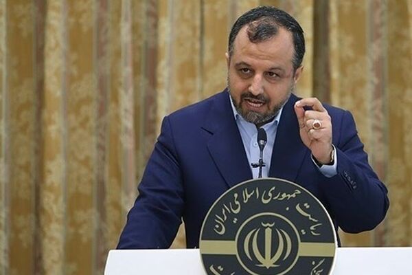 تصویب فهرست ۱۴۳۹ملک دولتی مازاد/ پتروشیمی هادر جریان تغییر نرخ خوراک گاز بودند