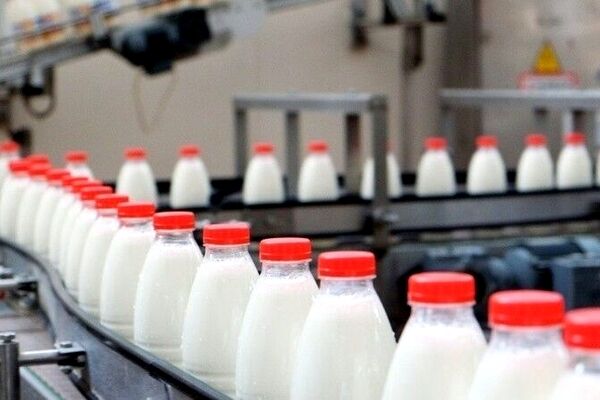 تورم، دلیل کاهش سرانه مصرف لبنیات / خطر ورشکستگی صنایع لبنی
