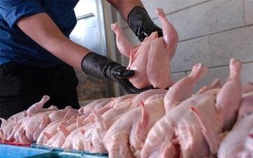 قیمت مرغ در بازار چند؟