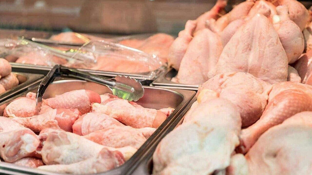 ابلاغ قیمت جدید مرغ/هرکیلو مرغ زنده چند؟ 