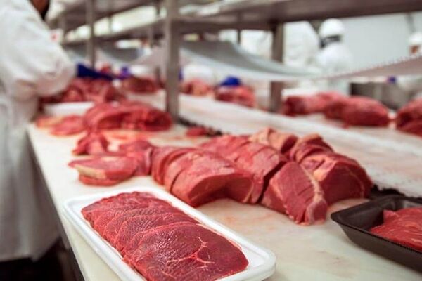 یارانه گوشت قرمز  در راه است؟
