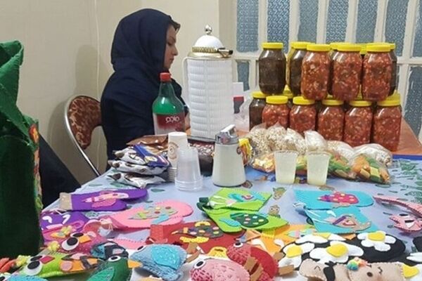 ایجاد ۱۰۰هزار شغل خانگی در سال گذشته 