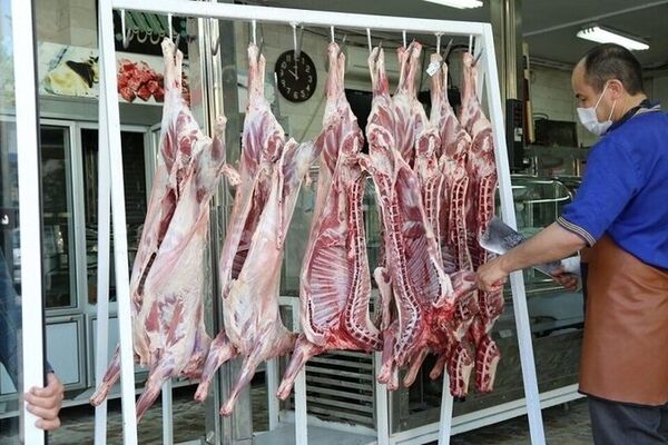 دولت برای تنظیم بازار گوشت دست به دامان واردات شد