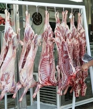 کاهش قیمت دام زنده/چرا گوشت قرمز ارزان نمی‌شود؟