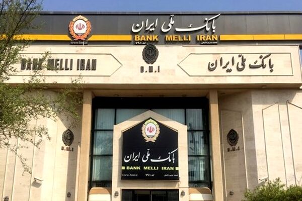 تاکید مدیرعامل بانک ملی ایران بر سرعت گرفتن ارائه تسهیلات خرد