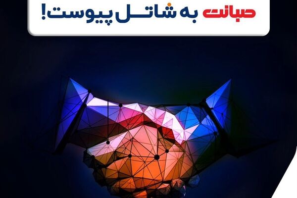 شاتل چند درصد سهام صبانت را خرید؟
