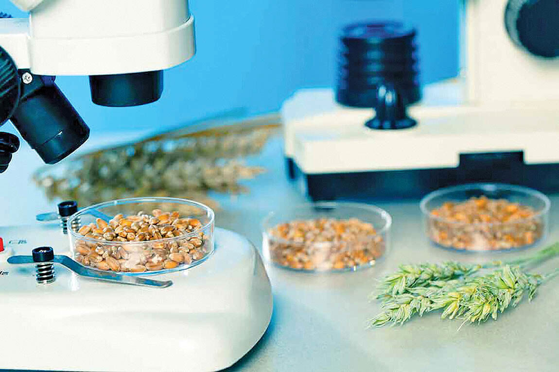 مرکز تحقیقات تغذیه و سلامت، نخستین نماینده رسمی استانداردهای جهانی HGFS در ایران