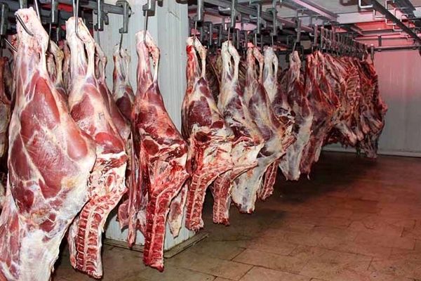 ابلاغیه فوری گمرک برای واردات گوشت تاپایان سال 