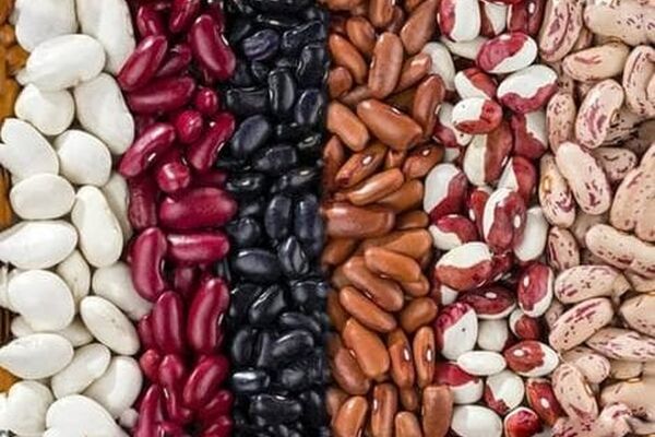 ابلاغ لغو ممنوعیت صادرات حبوبات+جزییات