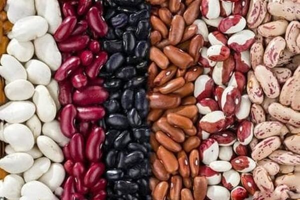 واردات گسترده حبوبات تنظیم بازاری