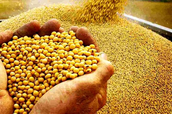 وضع عوارض برای واردات غلات از روسیه و بلاروس
