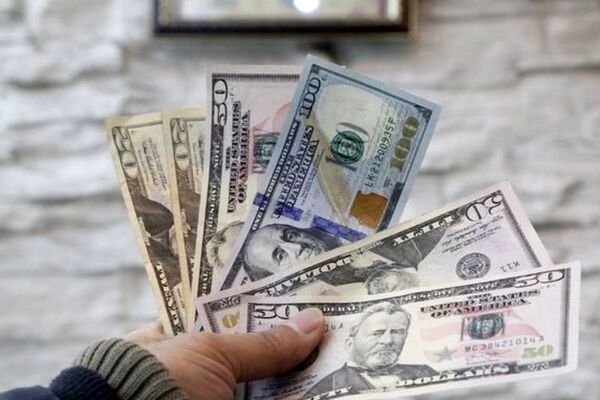 آشفتگی قیمت دلار در بازار / بازدهی سکه دو رقمی شد