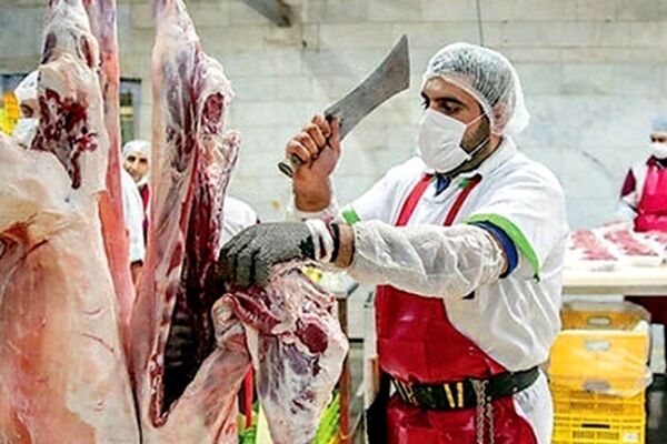عرضه گوشت ارزان قیمت در میادین تره‌بار