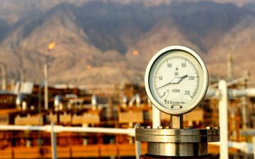 چوب حامل‌های انرژی لای چرخ صنایع